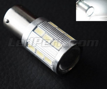 Lampe P21/5W Magnifier auf 21 LEDs SG Hohe Leistung + Brennglas weiße Basis BAY15D