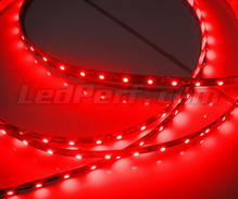 Flexibles 24-V-Band 1 Meter ( 60 LEDs SMD ) rot