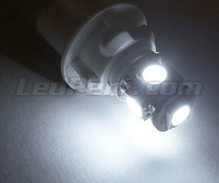 Standlicht-LED-Pack (Xenon-Weiß) für Kia Sorento 1