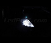 Standlicht-LED-Pack (Xenon-Weiß) für Ford Fiesta MK7