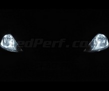Standlicht-LED-Pack (Xenon-Weiß) für Ford Focus MK1