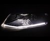 Standlicht-LED-Pack (Xenon-Weiß) für Skoda Octavia 3 mit Bi-Xenon AFS