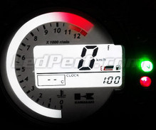 LED-Zähler-Kit - Typ 4 - für Kawasaki Kawasaki Z1000 (2003 - 2006) Mod.
 2003-2006.