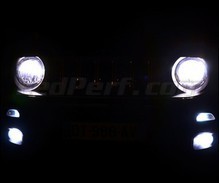 Scheinwerferlampen-Pack mit Xenon-Effekt für Jeep Renegade