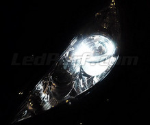 Standlicht-LED-Pack (Xenon-Weiß) für Citroen C3 I