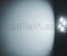 Standlicht-LED-Pack (Xenon-Weiß) für Dacia Duster