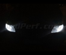Standlicht-LED-Pack (Xenon-Weiß) für Lancia Ypsilon