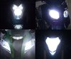 Scheinwerferlampen-Pack mit Xenon-Effekt für Polaris Sportsman - Hawkeye  300