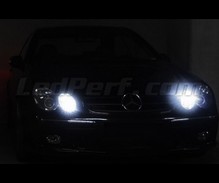 Standlicht-LED-Pack (Xenon-Weiß) für Mercedes CLK (W209)