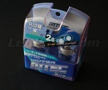 Pack mit 2 Lampen H10 MTEC Cosmos Blue - xenon Weiß